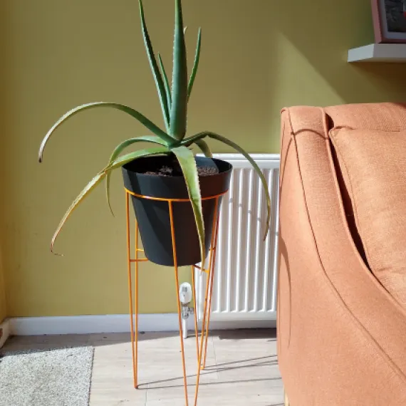 Hairpin Plant Stands