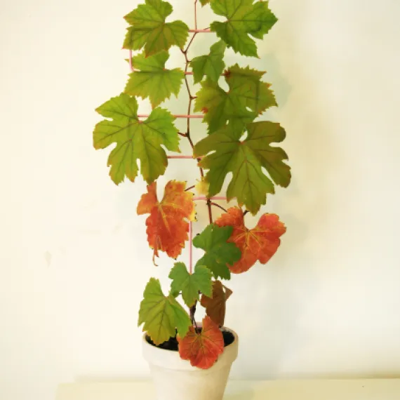square plant support
