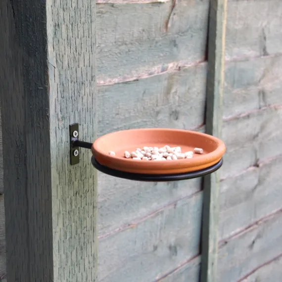bird bath feeder