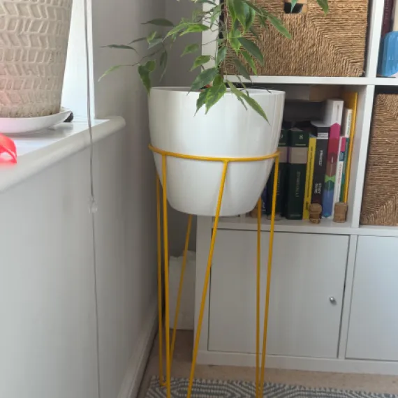 Hairpin Plant Stands