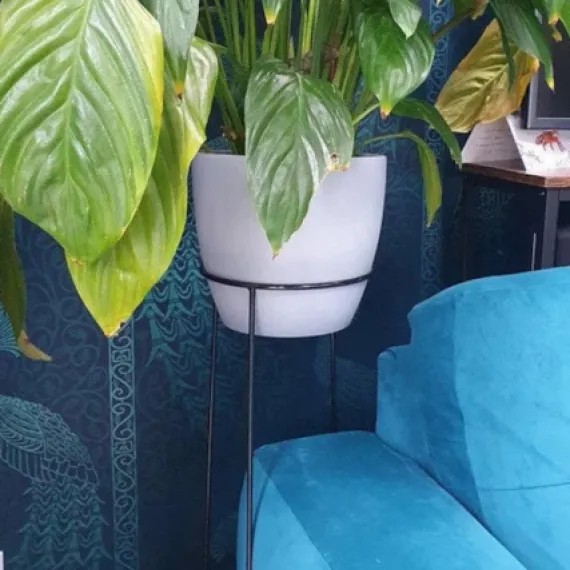 round plant stand